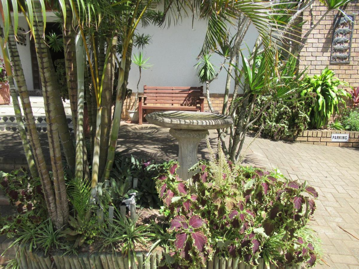 Bhangazi Lodge Bed & Breakfast Japaratinga Ngoại thất bức ảnh