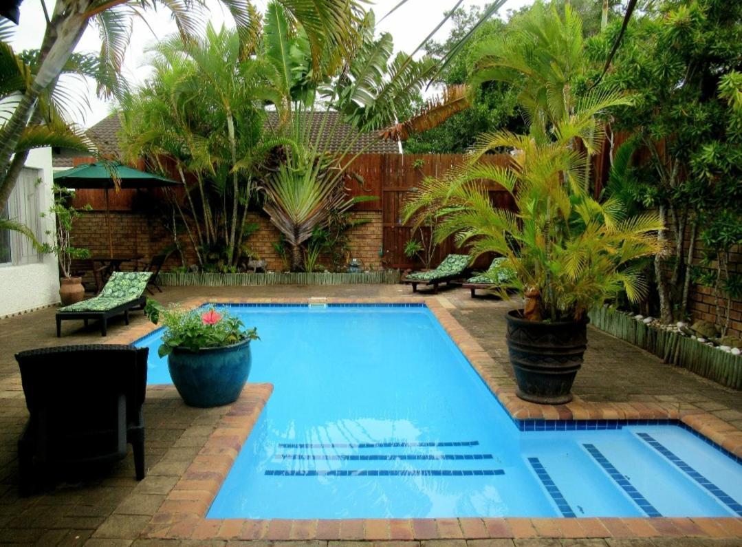 Bhangazi Lodge Bed & Breakfast Japaratinga Ngoại thất bức ảnh